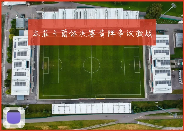本菲卡葡体决赛黄牌争议激战