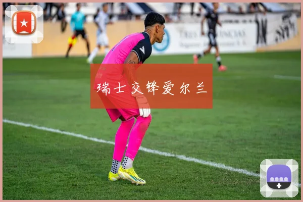瑞士交锋爱尔兰