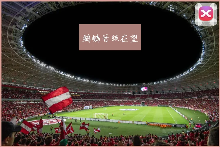 鹈鹕晋级在望