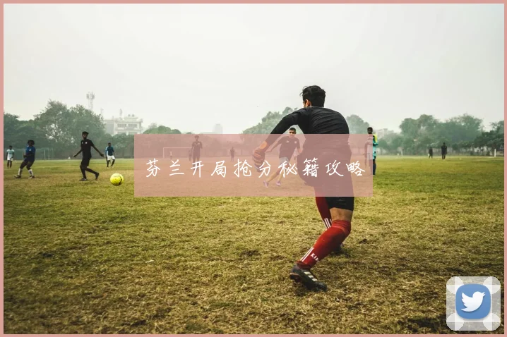 芬兰开局抢分秘籍攻略