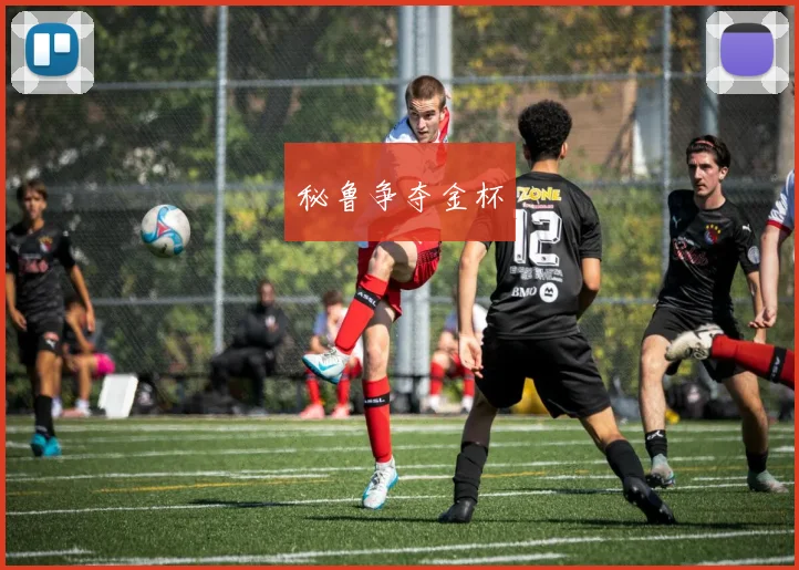 秘鲁争夺金杯