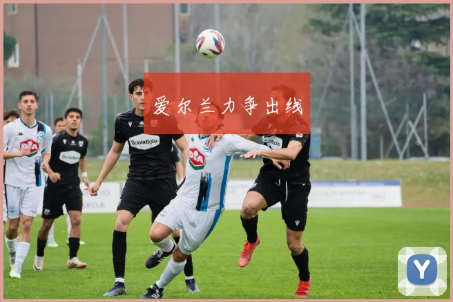 爱尔兰力争出线
