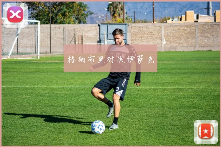 格纳布里对决伊萨克