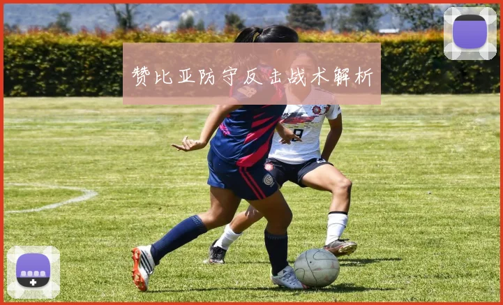 赞比亚防守反击战术解析