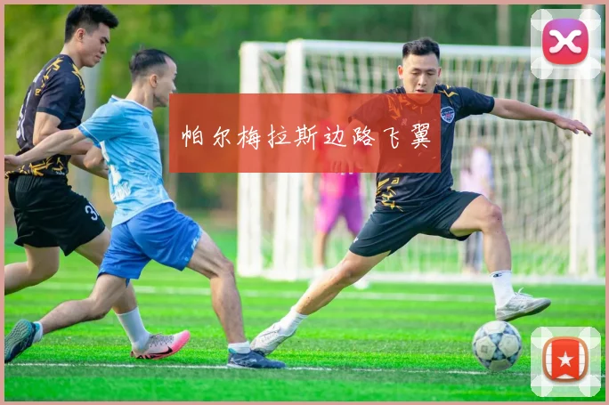 帕尔梅拉斯边路飞翼