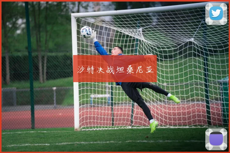 沙特决战坦桑尼亚