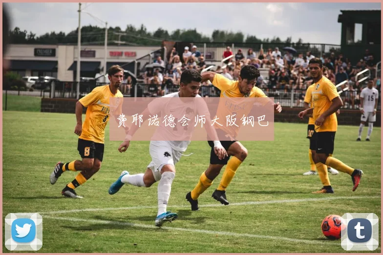 费耶诺德会师大阪钢巴