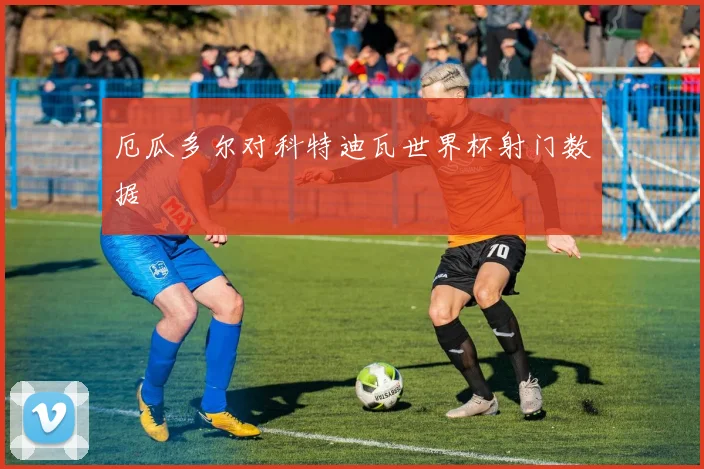 厄瓜多尔对科特迪瓦世界杯射门数据