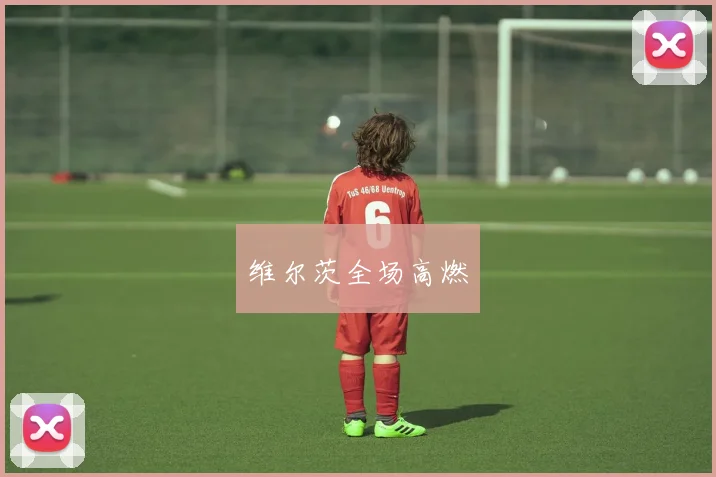维尔茨全场高燃