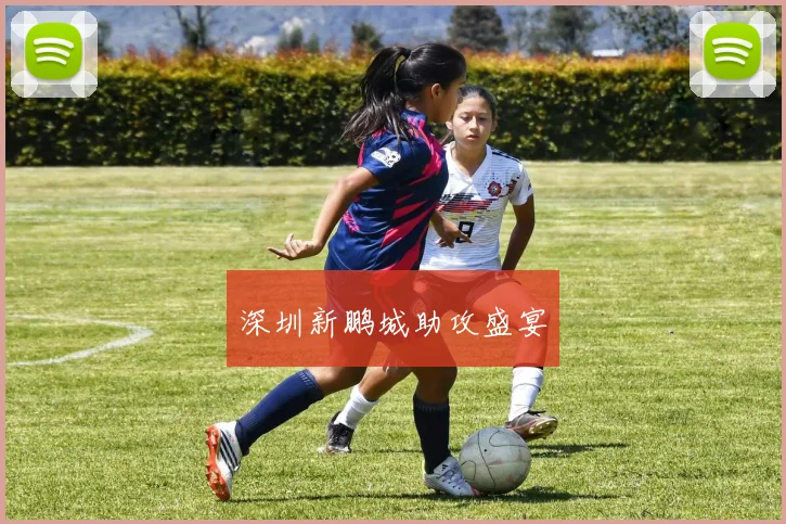 深圳新鹏城助攻盛宴