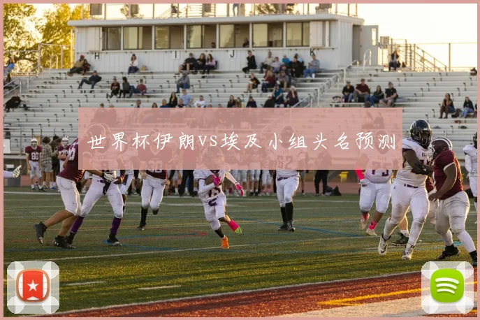 世界杯伊朗vs埃及小组头名预测