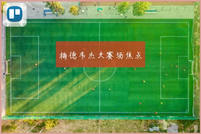 梅德韦杰夫赛场焦点