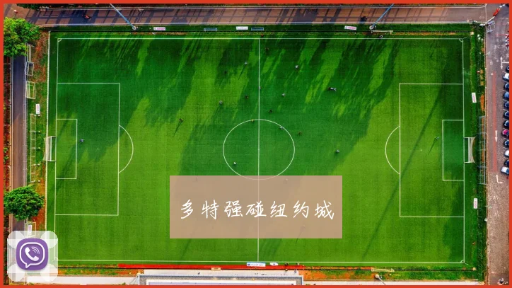 多特强碰纽约城