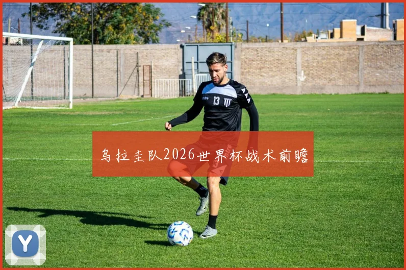 乌拉圭队2026世界杯战术前瞻