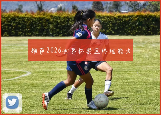 维萨2026世界杯禁区终结能力