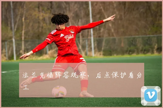 法兰克福阵容观察，后点保护看分工