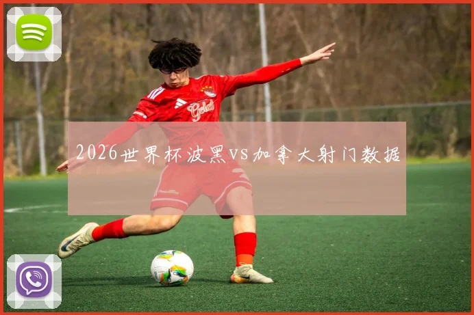 2026世界杯波黑vs加拿大射门数据
